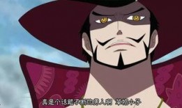 海贼王鹰眼爆料视频大全,鹰眼爆料视频大全，揭秘神秘世界背后的真相