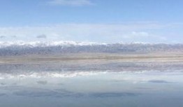 娱乐吃瓜洲,揭秘娱乐圈背后的那些事儿